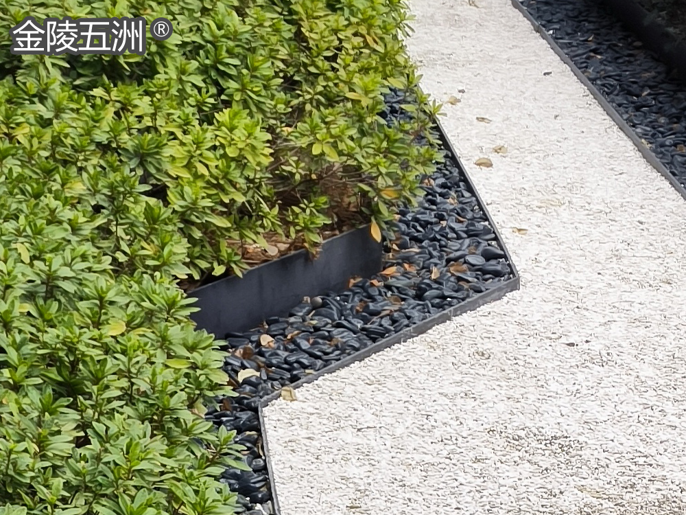 ɫ껨ʯ